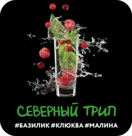 DS 24 Shot 25гр Северный ( малина базилик клюква)