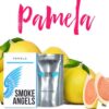 Smoke Angels 100 (PAMELA)