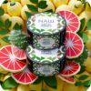 НАШ 40гр (Кактус помело)