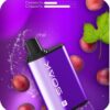 SOAK R 5000 затяжек (Виноград изабелла)
