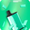 SOAK R 5000 затяжек (Мятное драже)