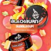 BlackBurn 100 Bubblegum (Фруктовая жвачка)