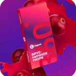 Сарма 360 200 Легкая Брусничное пюре
